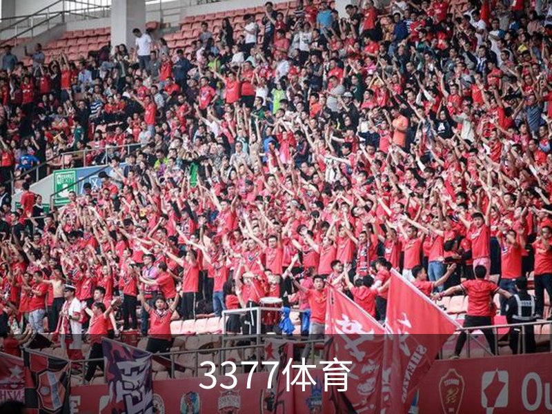 了解3377体育